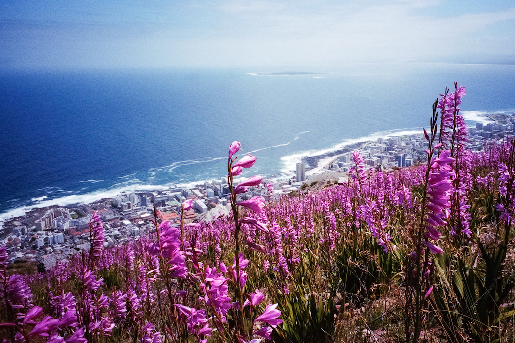 24h Cape Town-4