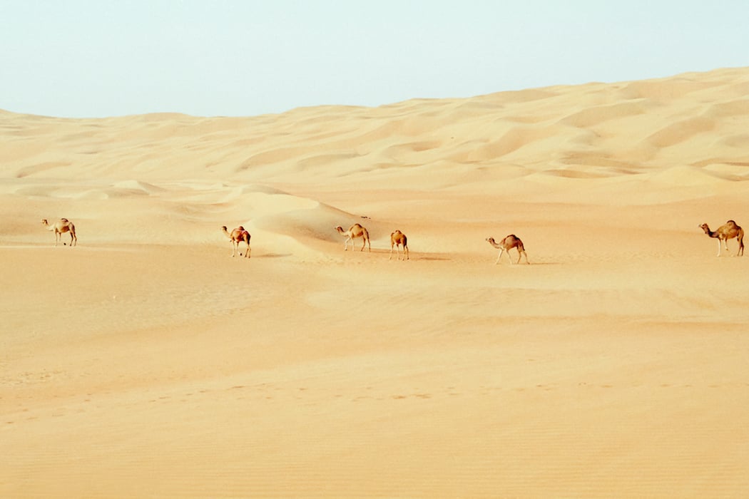 Silvia-Conde-Abu-Dhabi-85