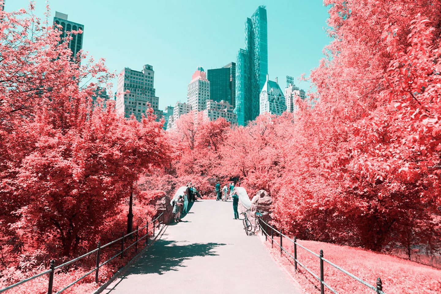 infrarednyc_photography_001