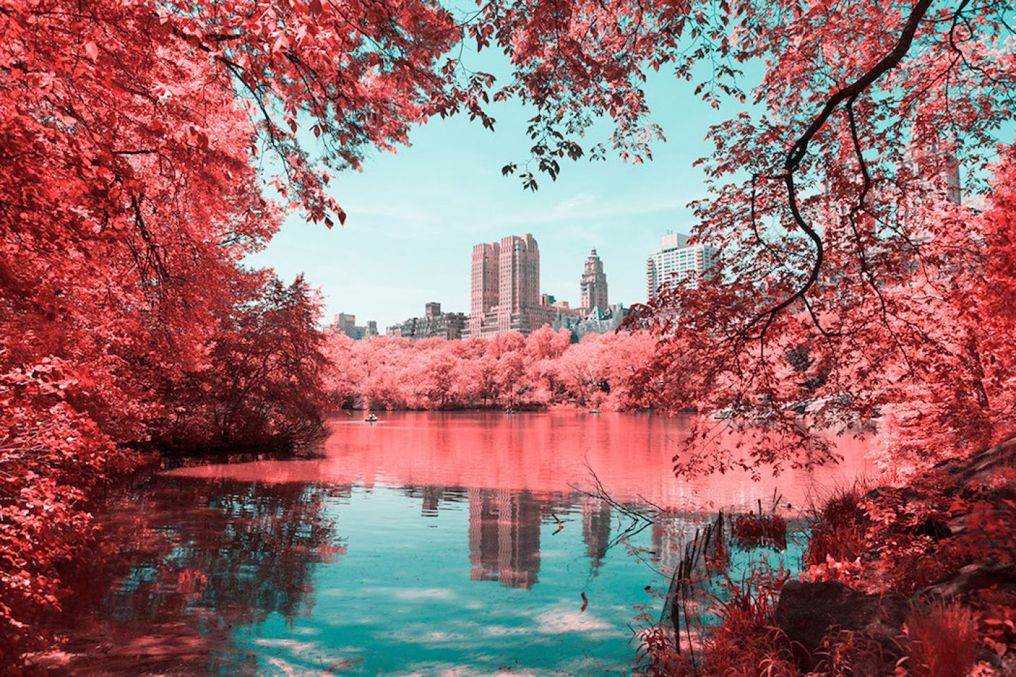 infrarednyc_photography_008