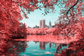 infrarednyc_photography_pre