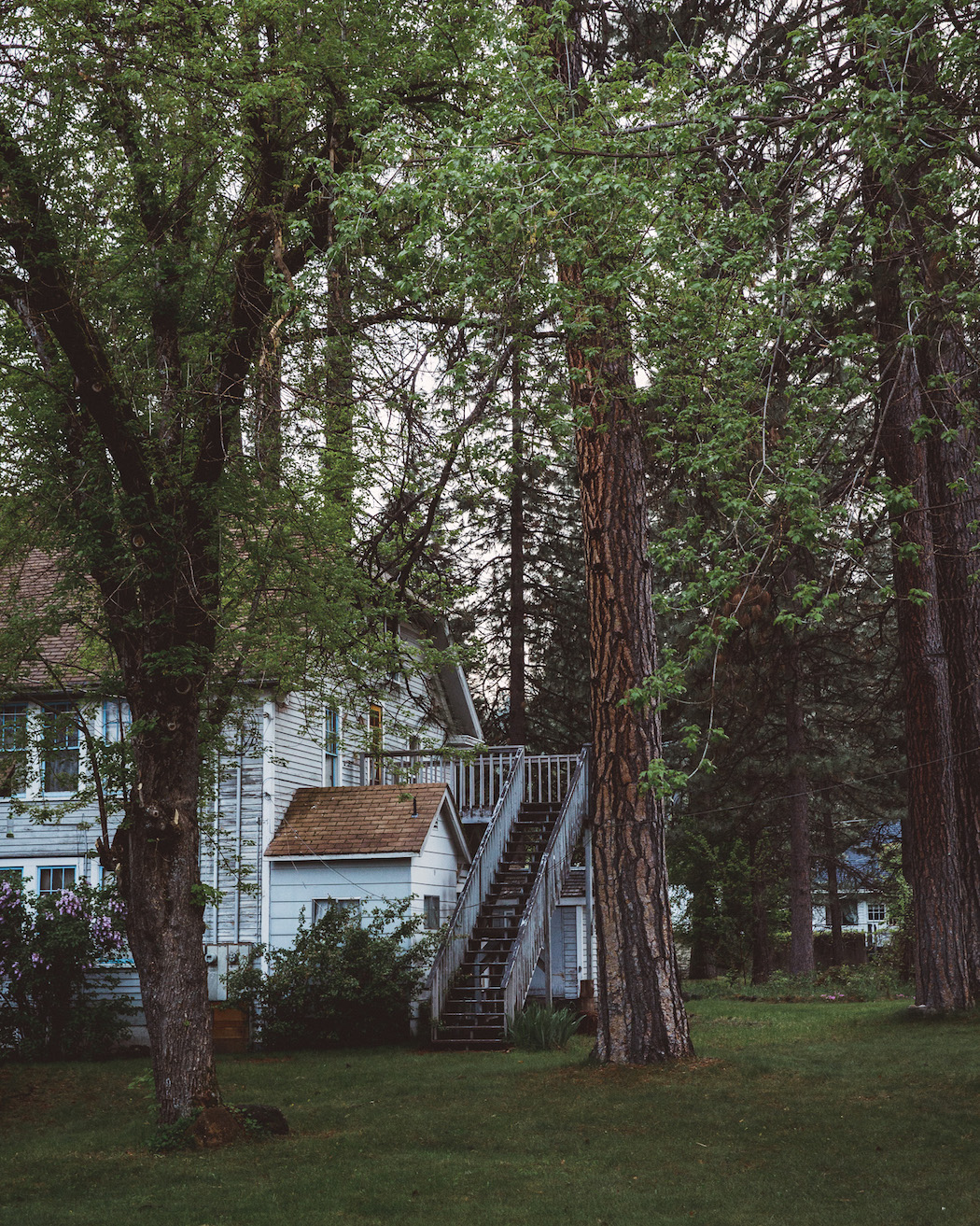 Ignant-OnTheRoad-FinnBeales_28