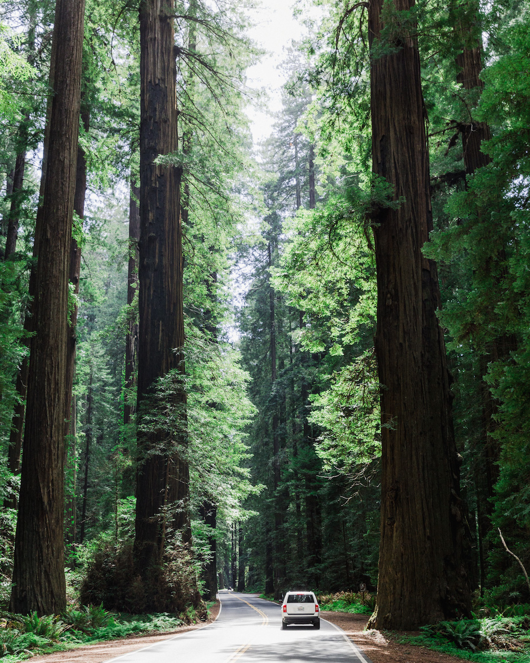 Ignant-OnTheRoad-FinnBeales_37