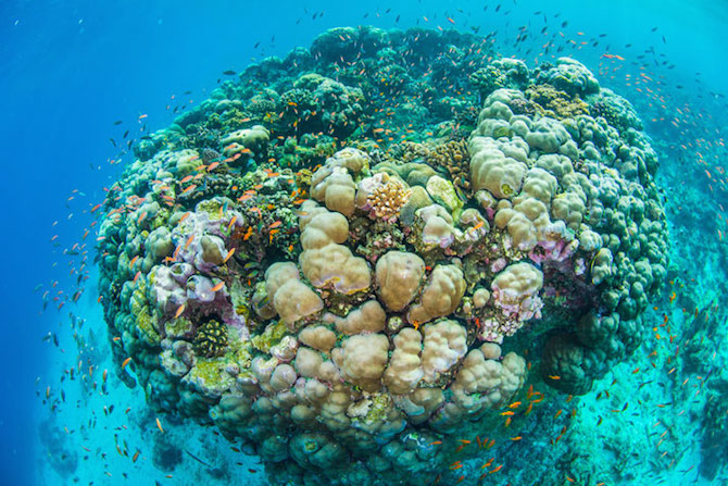 1-underwater-room-Manta-Resort-Pemba-Island-Tanzania-Architecture_