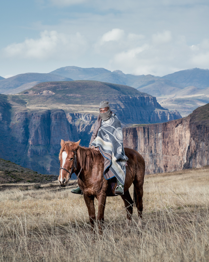 horse - Lira