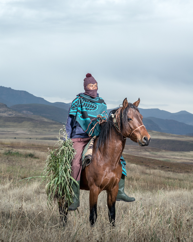 Horse - Smart