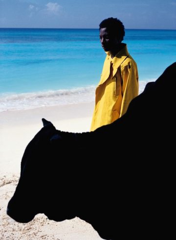 hermes viviane sassen