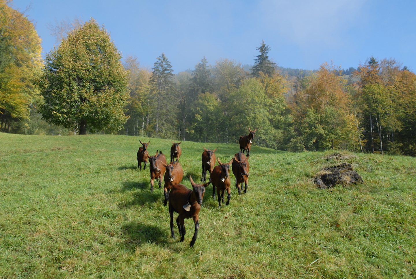 OnTheRoad_Switzerland_AlpHoesel_04