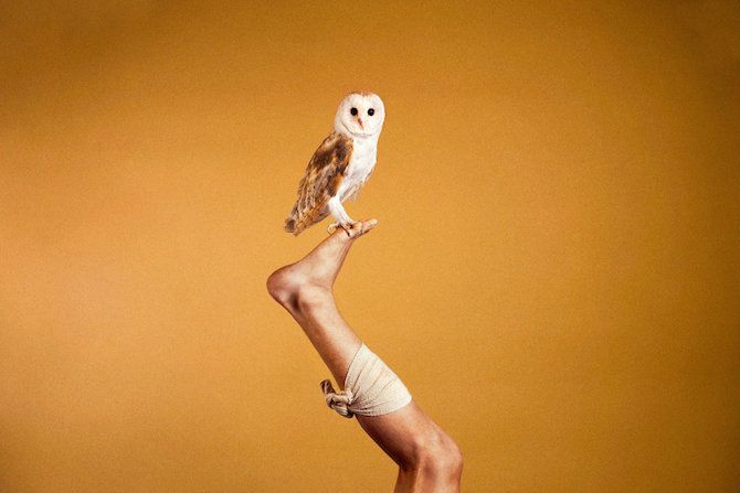 Photography_Ryan_McGinley_Animals_02