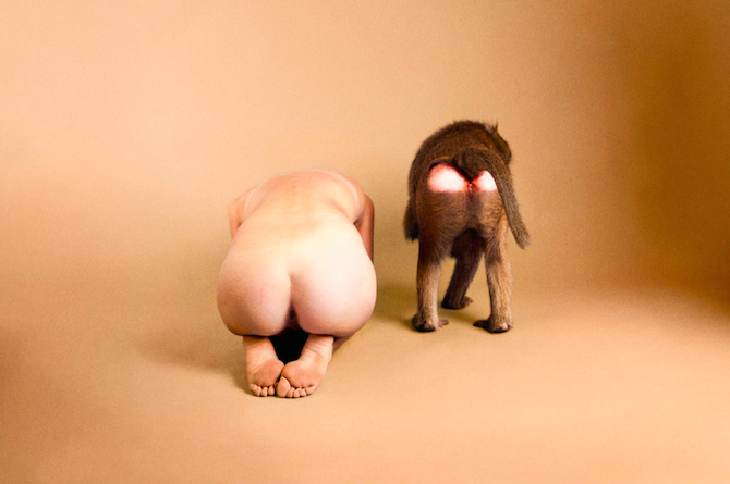 Photography_Ryan_McGinley_Animals_10