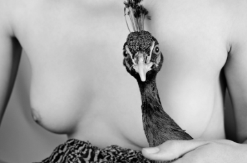 Photography_Ryan_McGinley_Animals_12