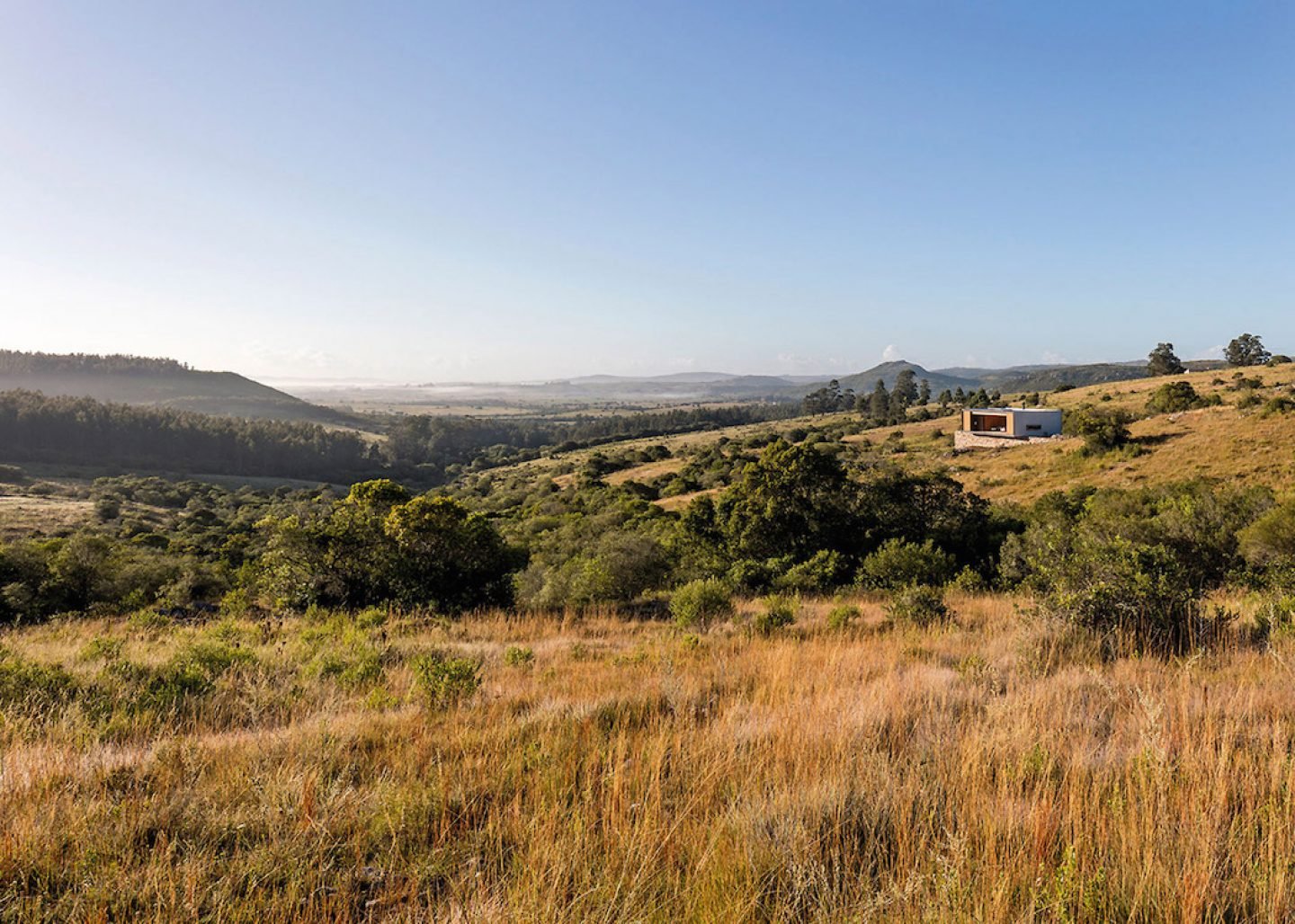 retreat-in-finca-aguy-mapa-prefabricated-housing-uraguay_dezeen_1568_11