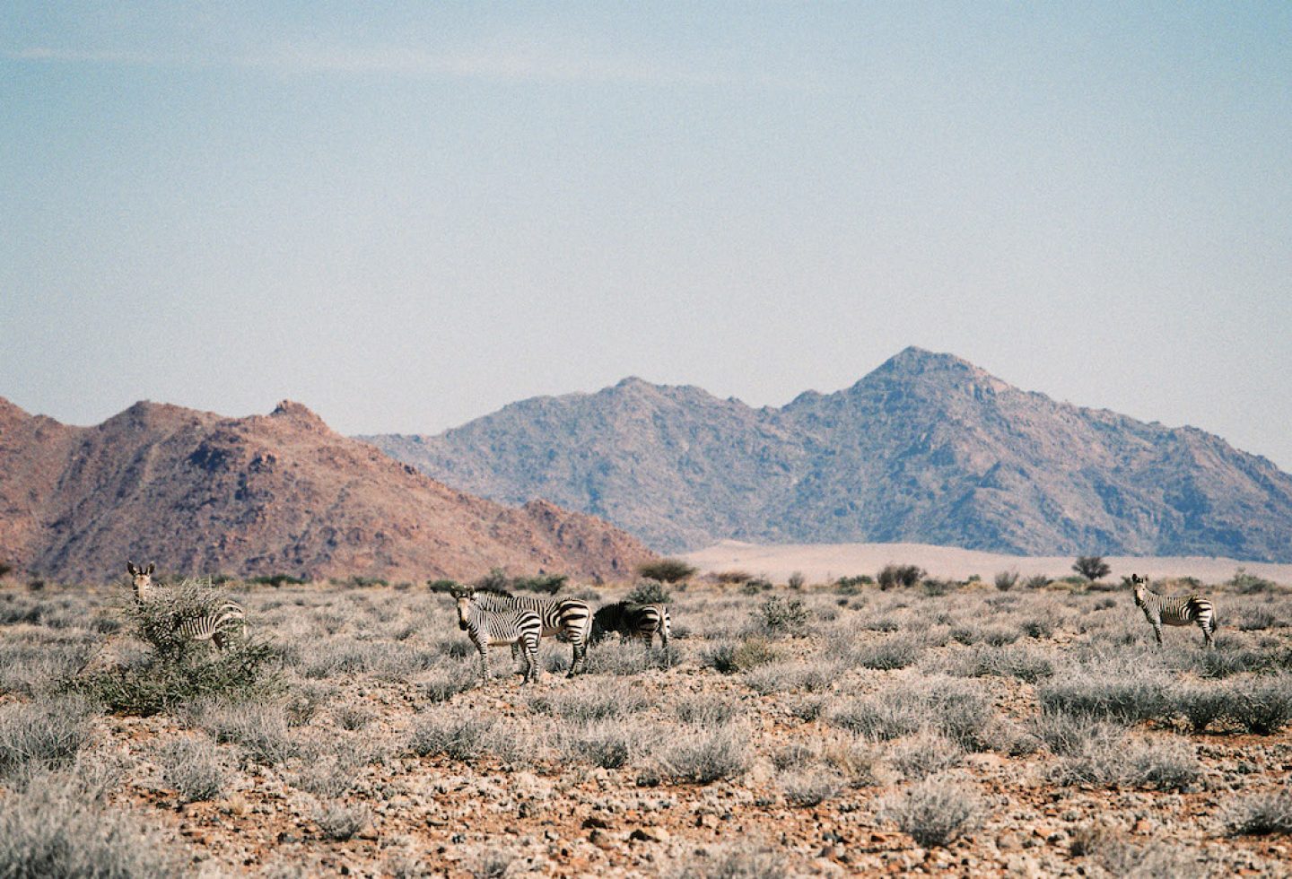 stefanhaehnel_namibia_preview-2