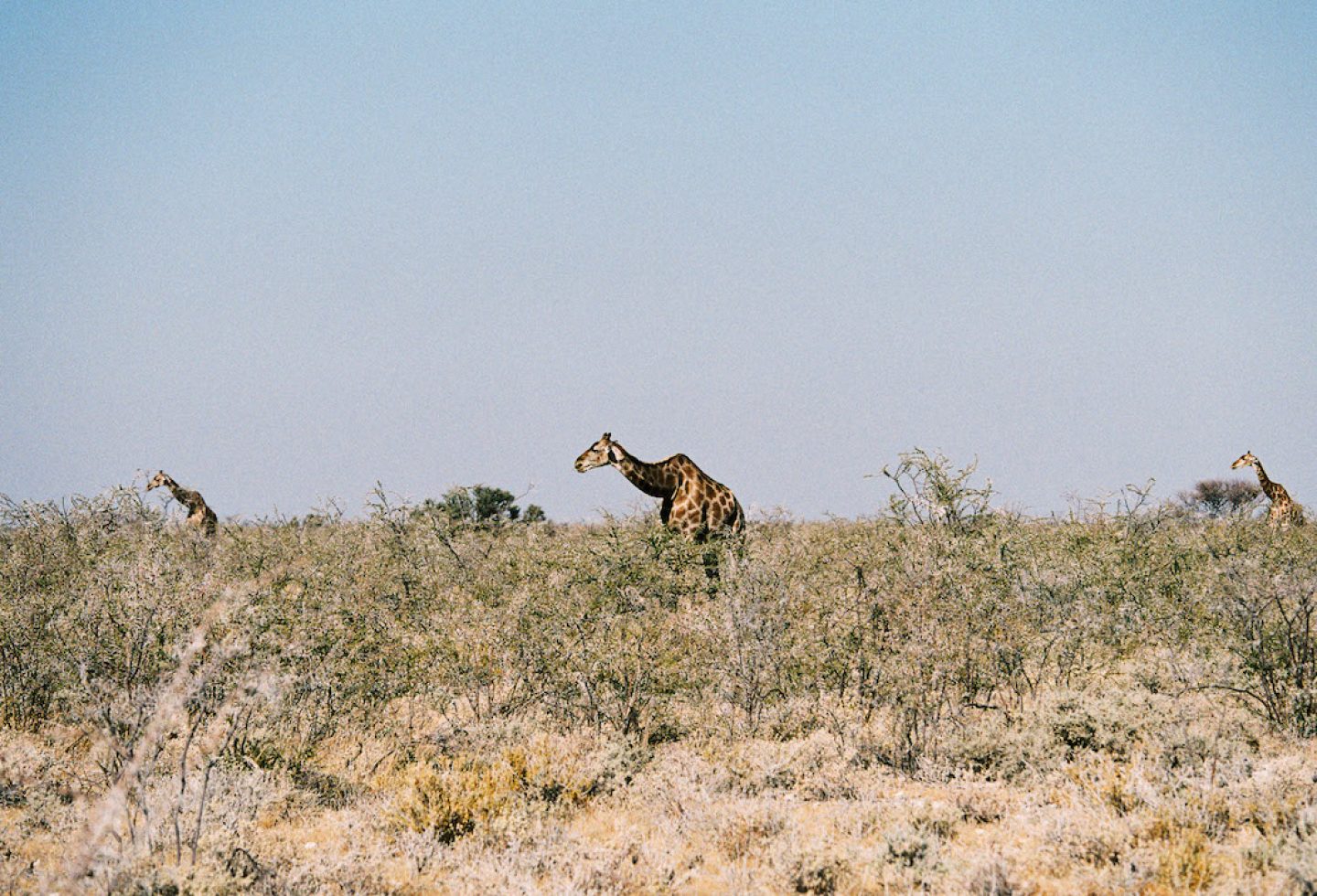 stefanhaehnel_namibia_preview-54