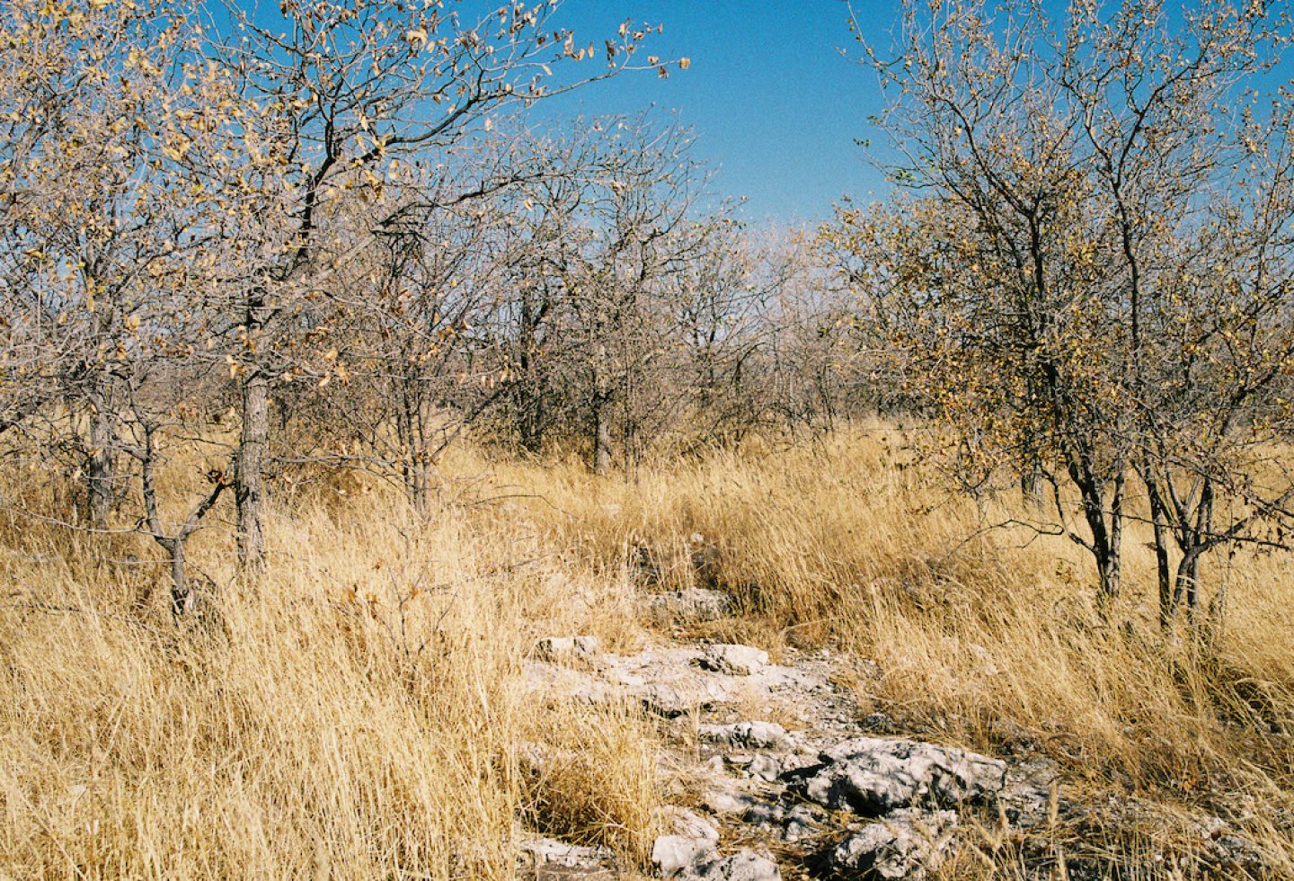 stefanhaehnel_namibia_preview-66