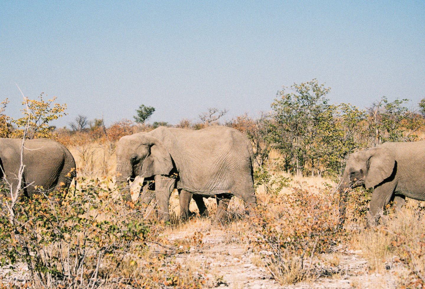 stefanhaehnel_namibia_preview-67