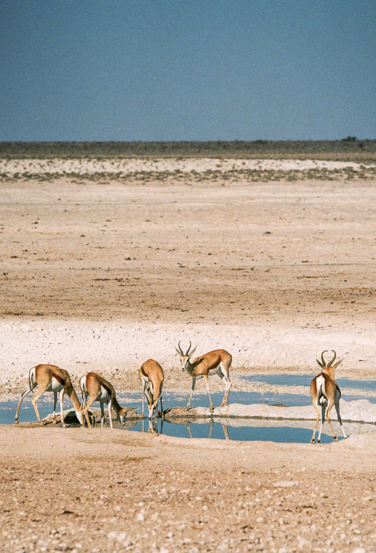 stefanhaehnel_namibia_preview-75