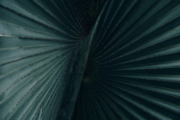 2016-09-03_57ca50c94a54b_cycbttphcm1editedcompressed.jpg