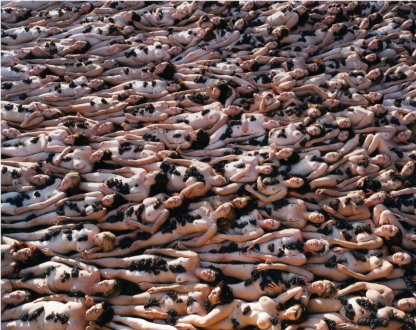 art_spencertunick_adornment_08