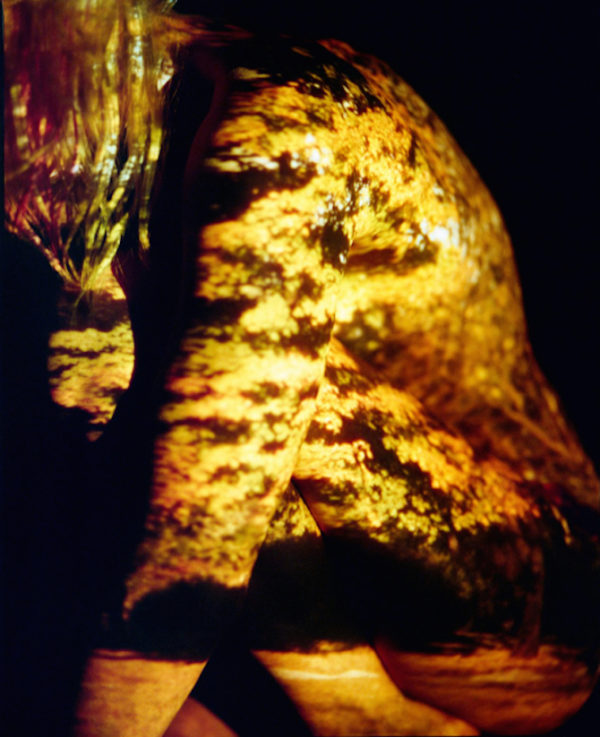 - ViralBandit photography_davisayer_08