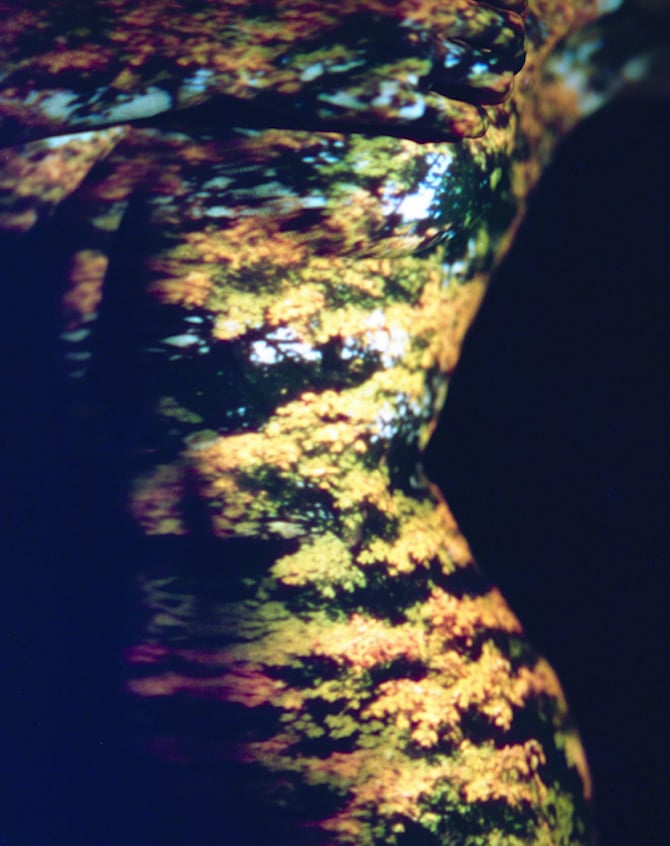 - ViralBandit photography_davisayer_09