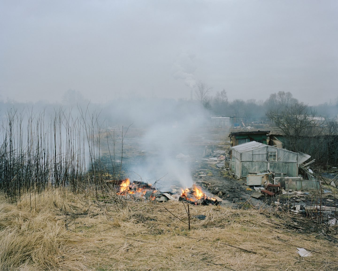 Burned down allotments in Voleri, 2014.