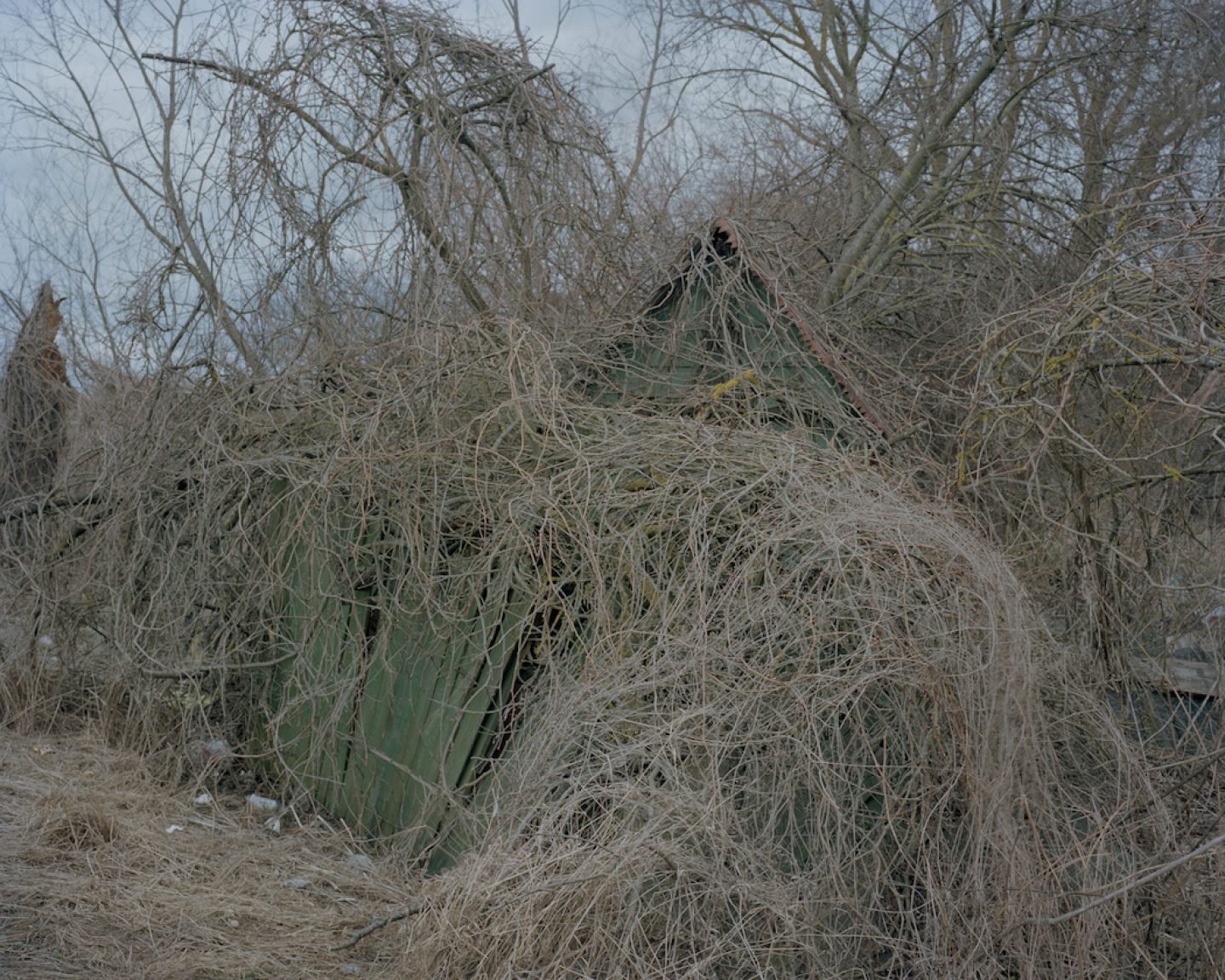 Abandoned allotments in Voleri, 2015.