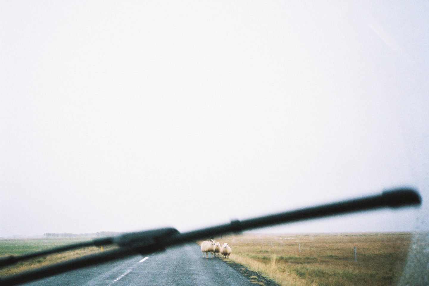 ontheroad_iceland_erell_06