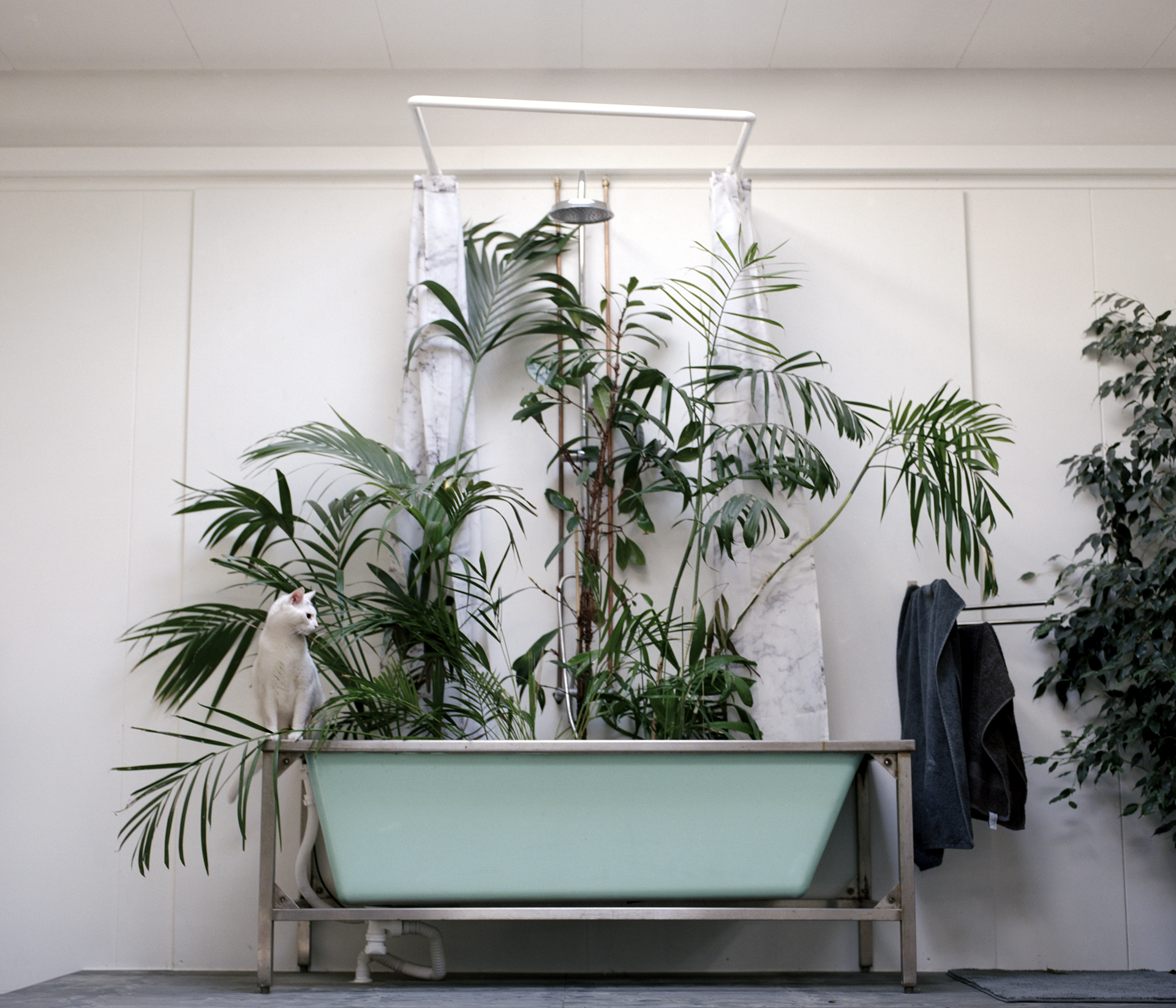 2016-11-17_582e05b34c17c_bathroomstories_001.jpg