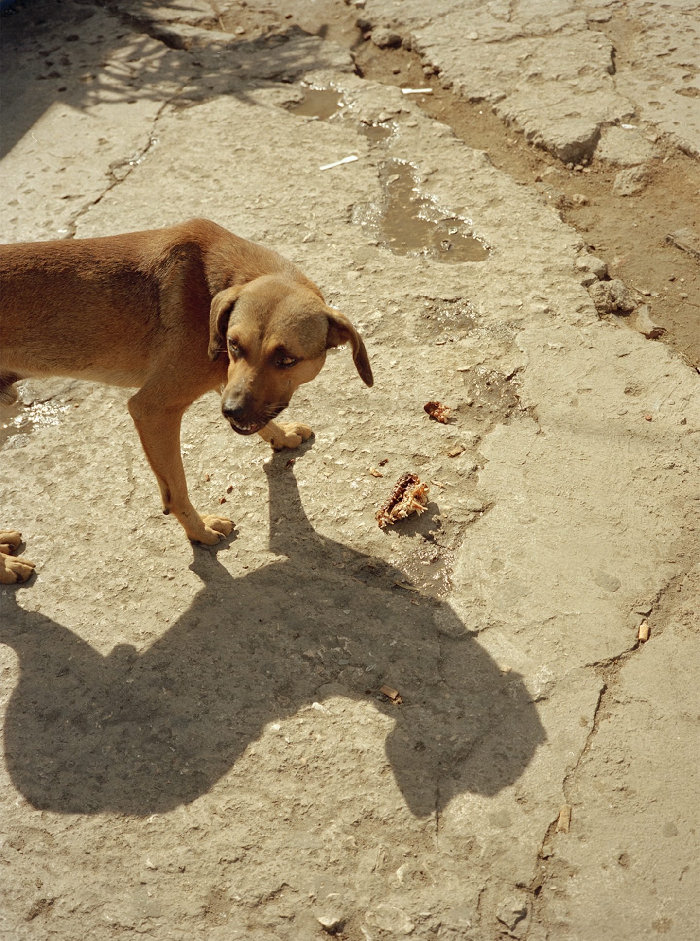 24hours_cuba_irinarozovsky_19