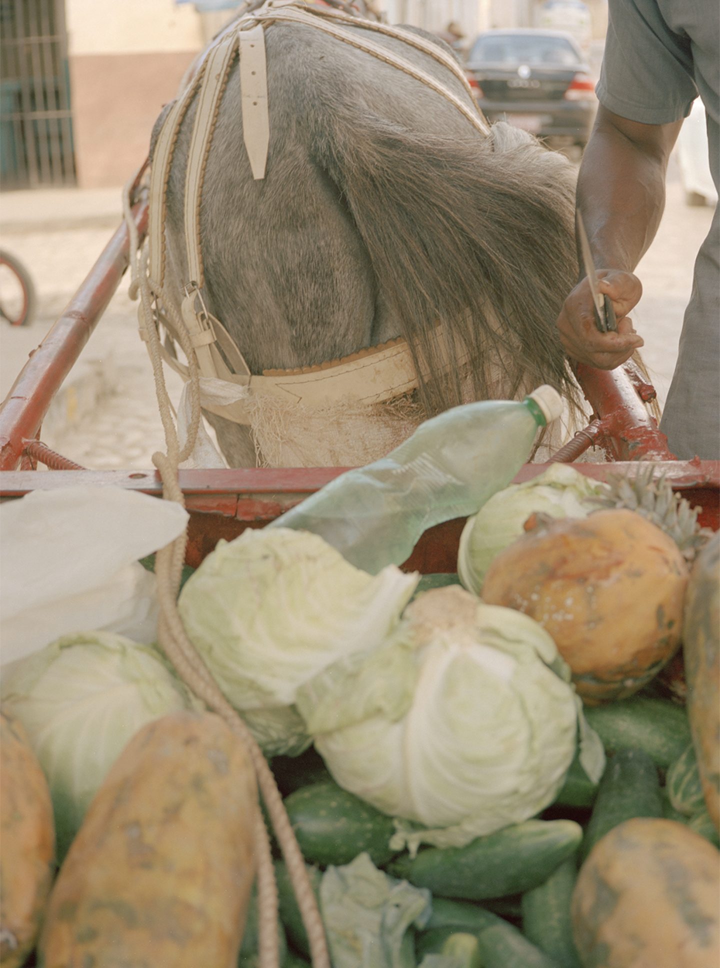 24hours_cuba_irinarozovsky_28