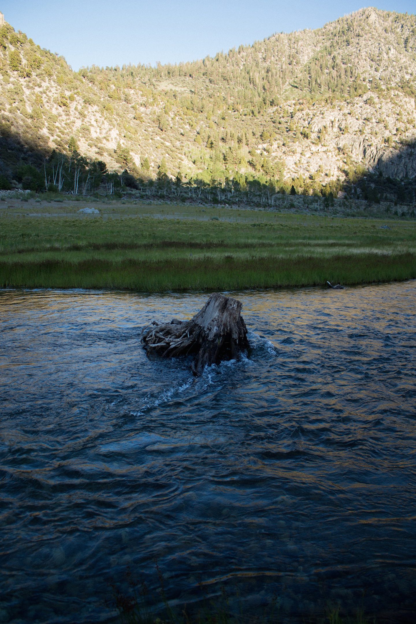 ontheroad_easternsierramountains_seancollier_43