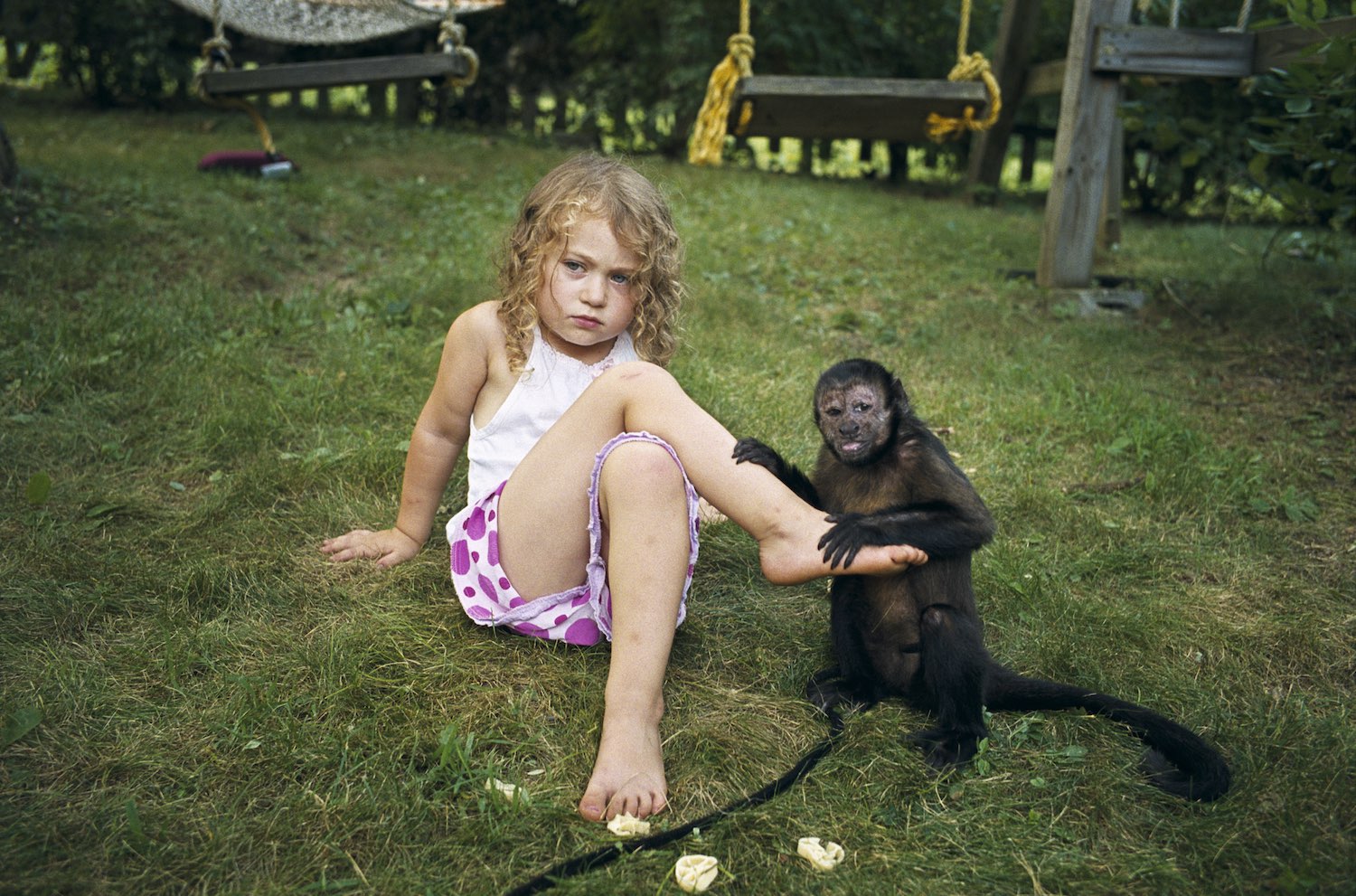 photography_robinschwartz_ameliaanimals_01