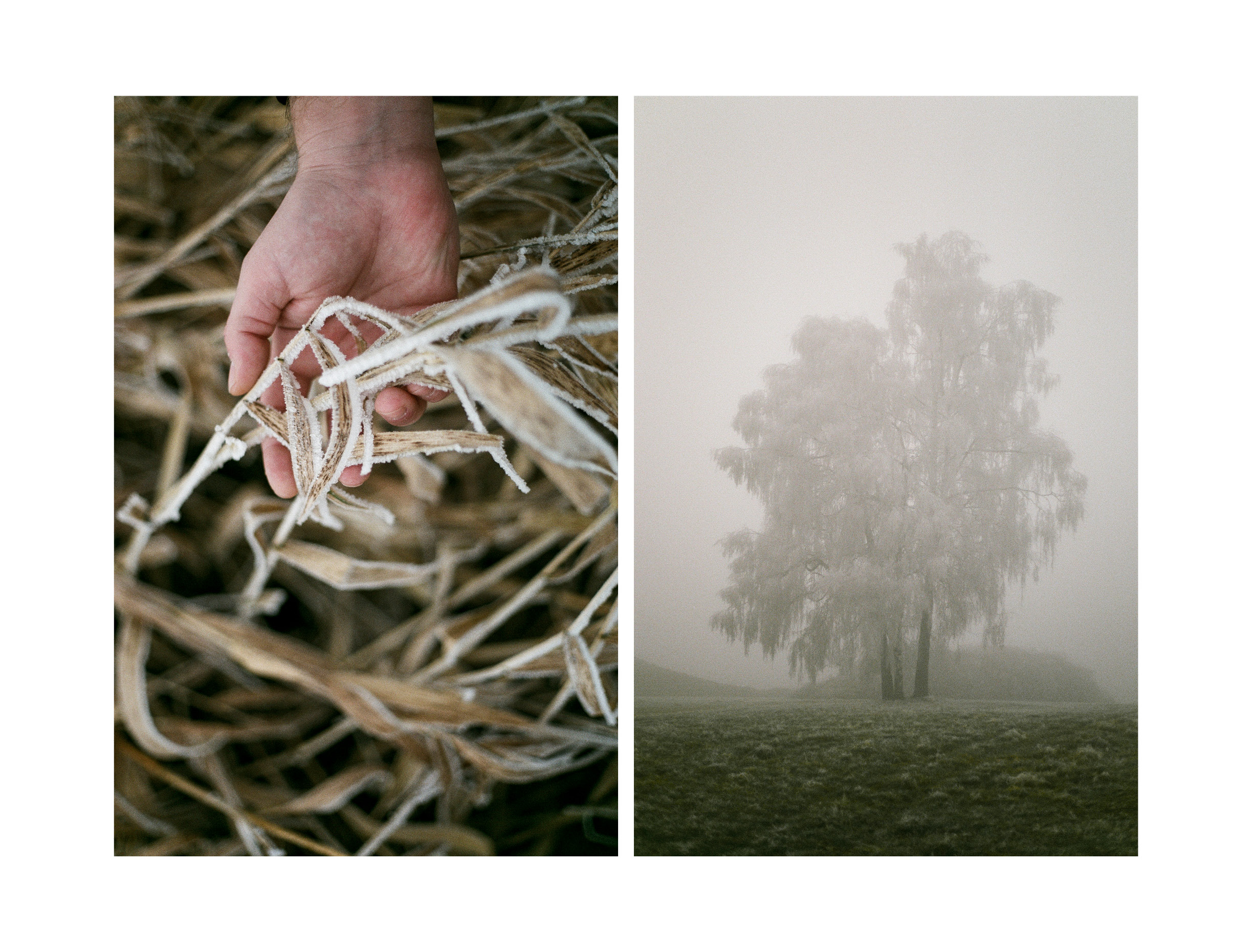 A Piece Of Silence By Melusina