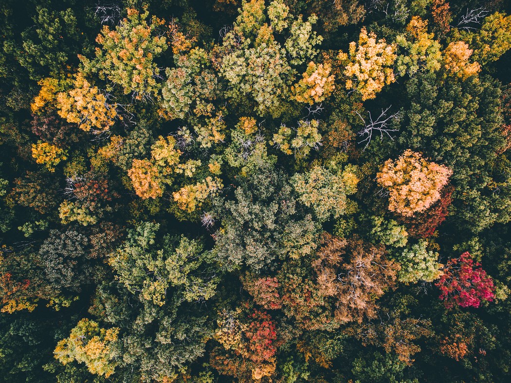 tobias_haggs_photography-17