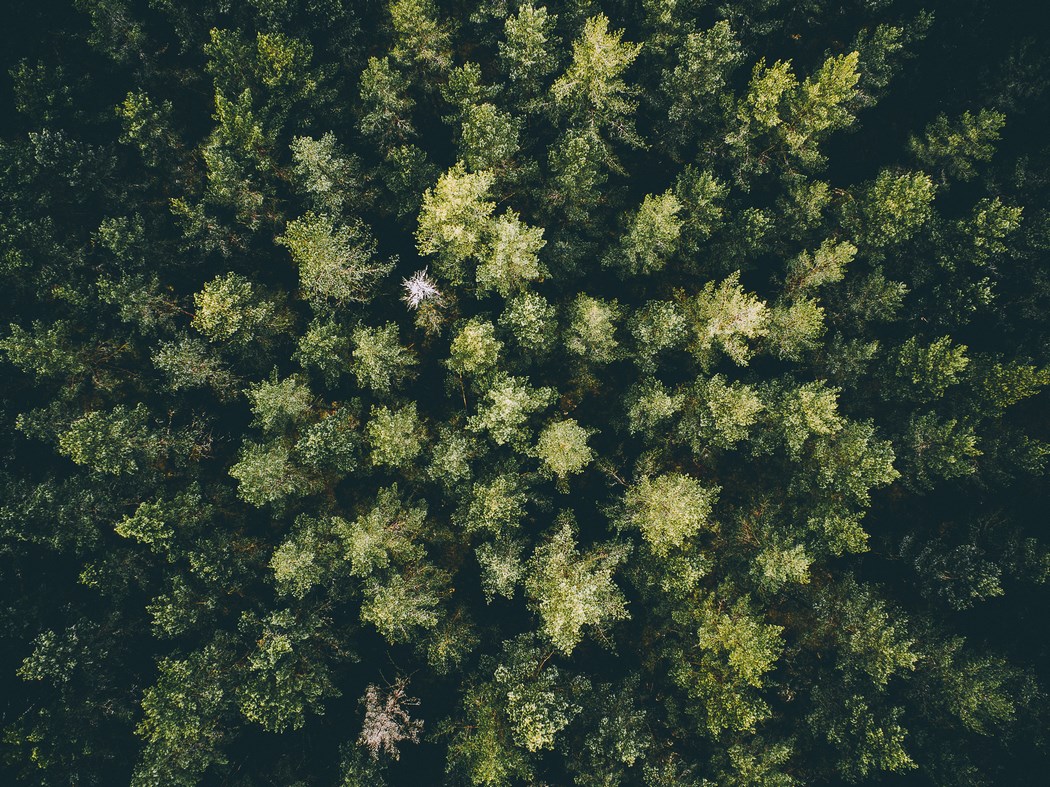 tobias_haggs_photography-5