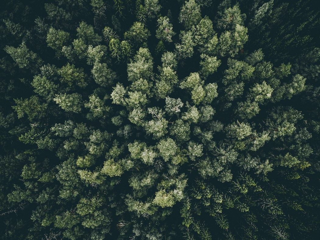 tobias_haggs_photography-7