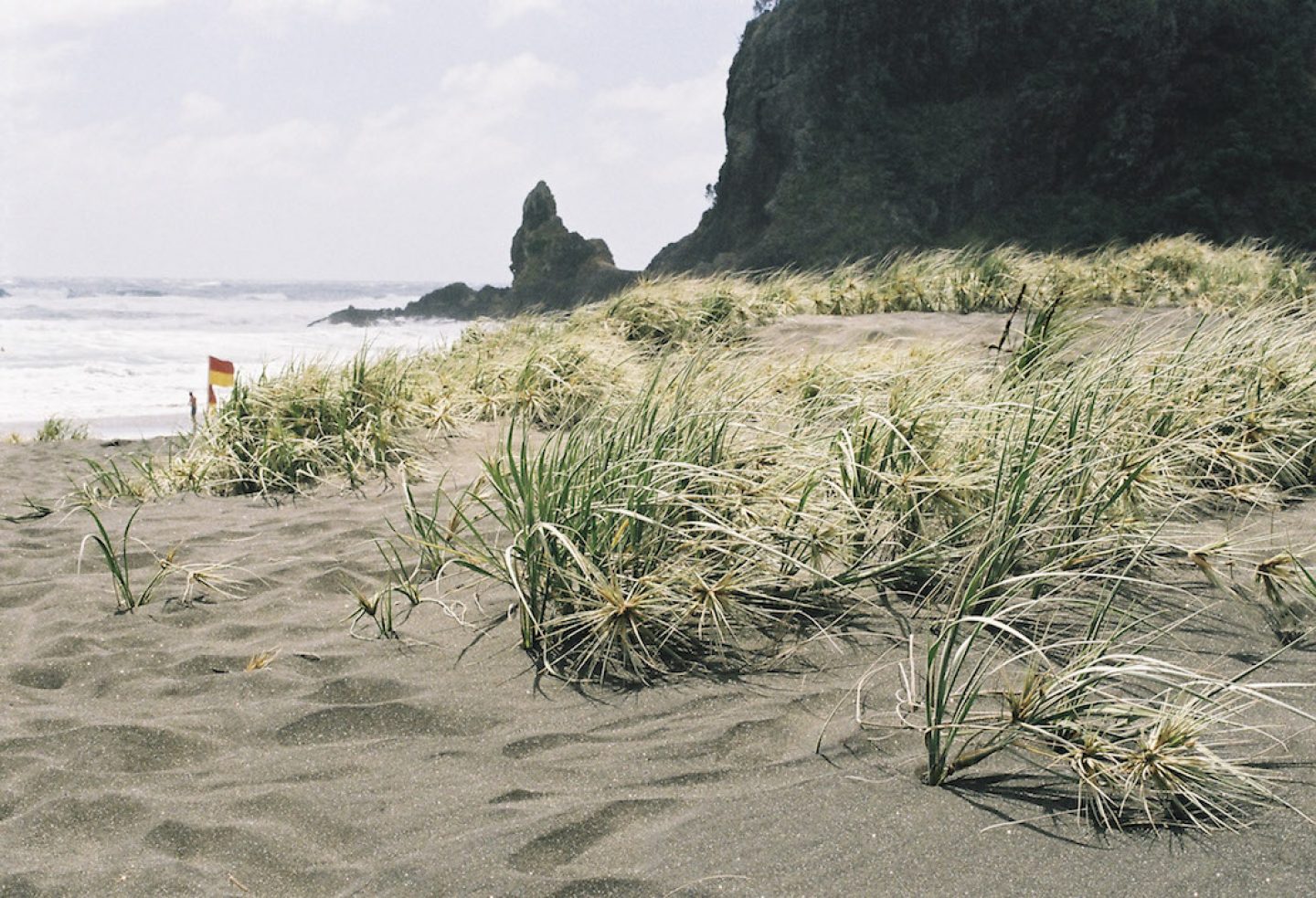 ignant_otr_35mmfilm_piha-3