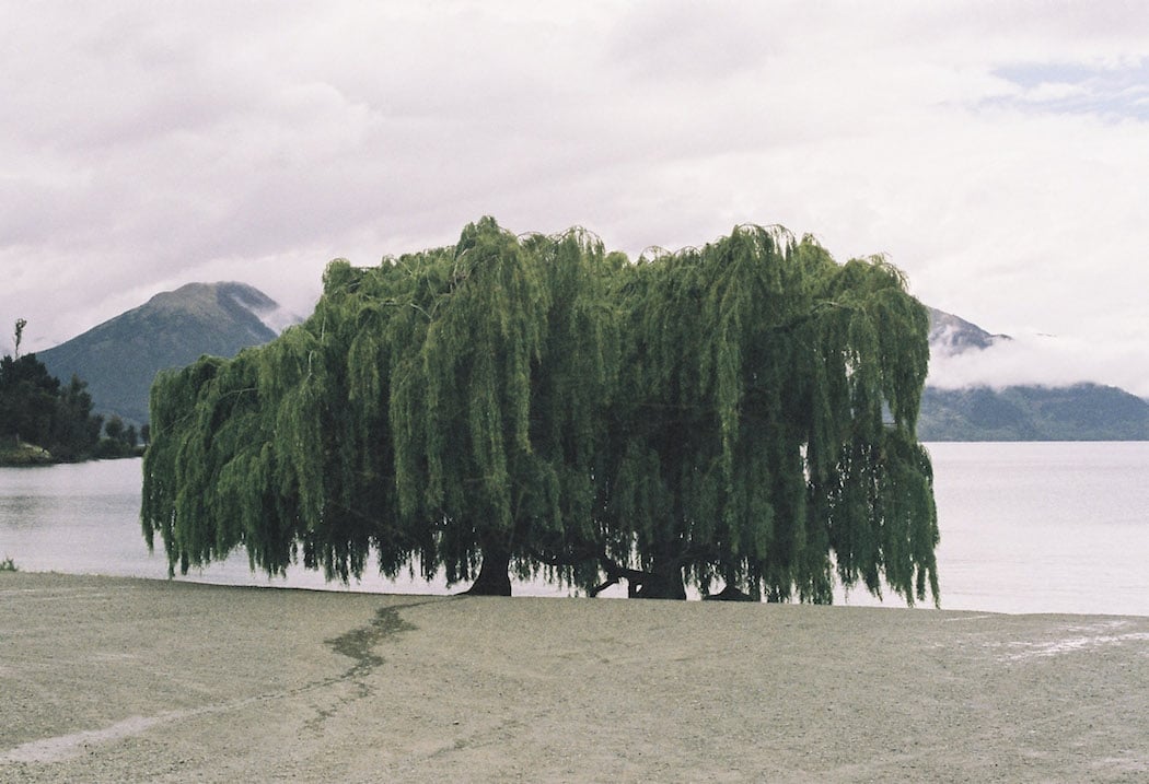 ignant_otr_35mmfilm_queenstown-3