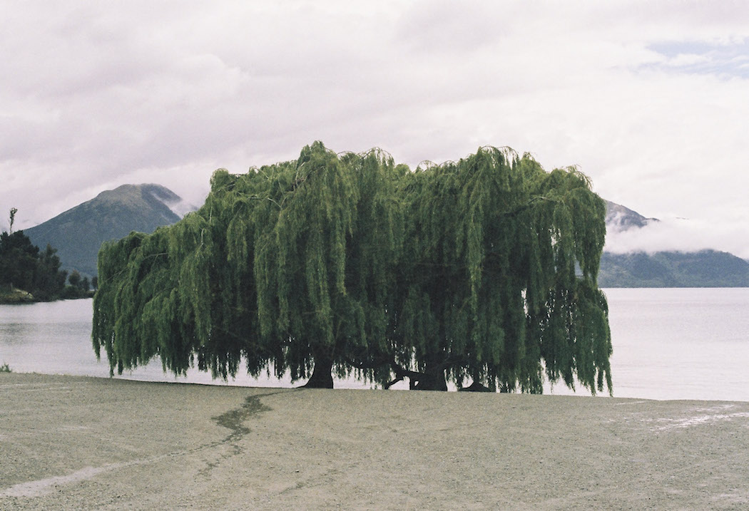 ignant_otr_35mmfilm_queenstown-3