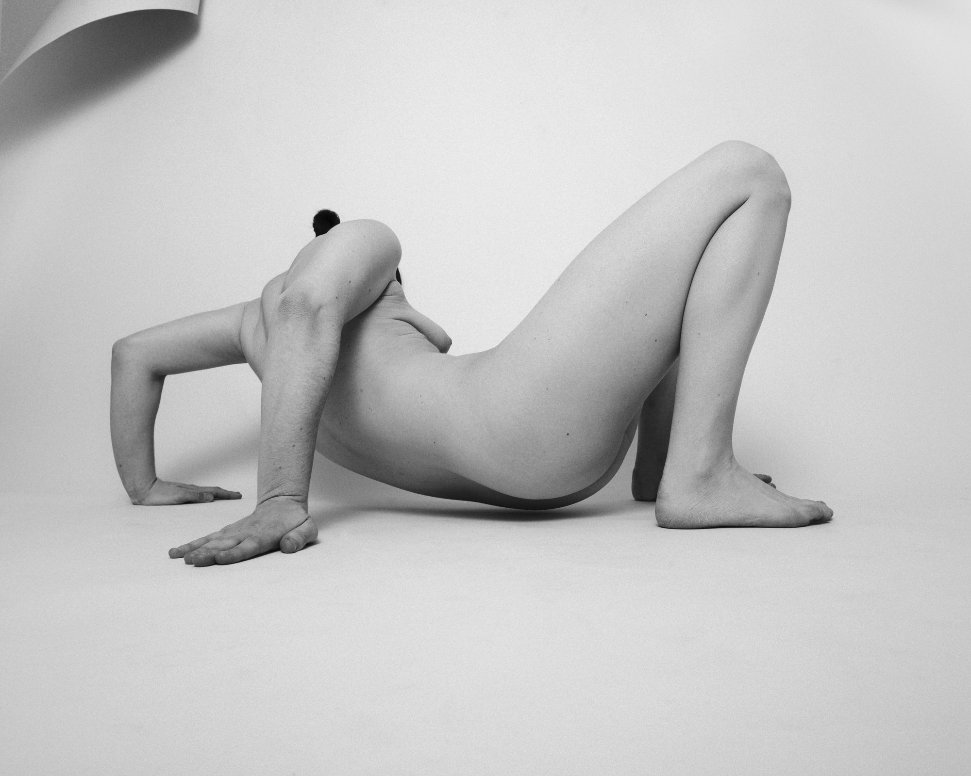 Selfportraits By Elsa Guillet