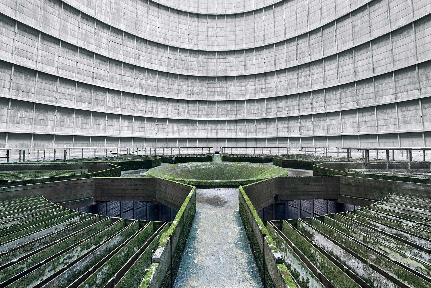 Landscapes Within By Reginald