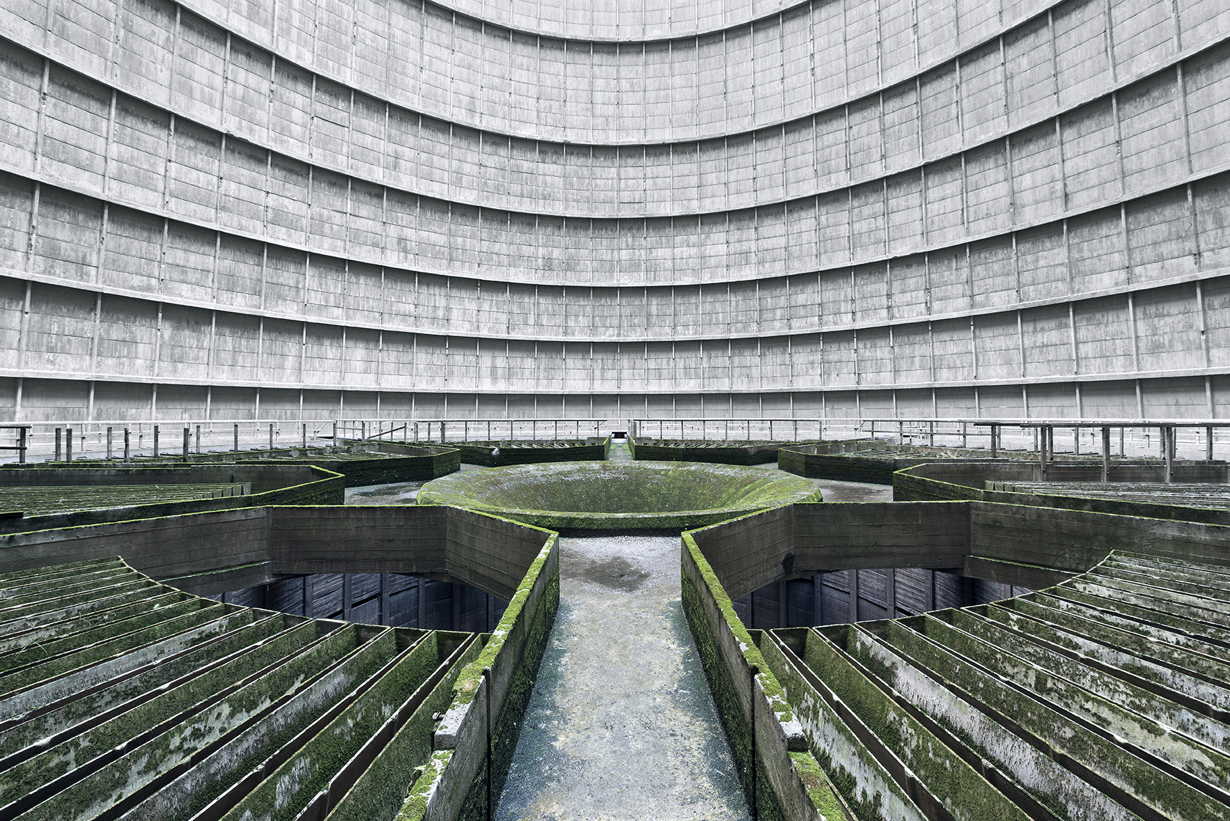 Landscapes Within By Reginald