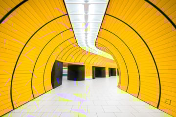 FI_Photography_Metro_ChrisForsyth