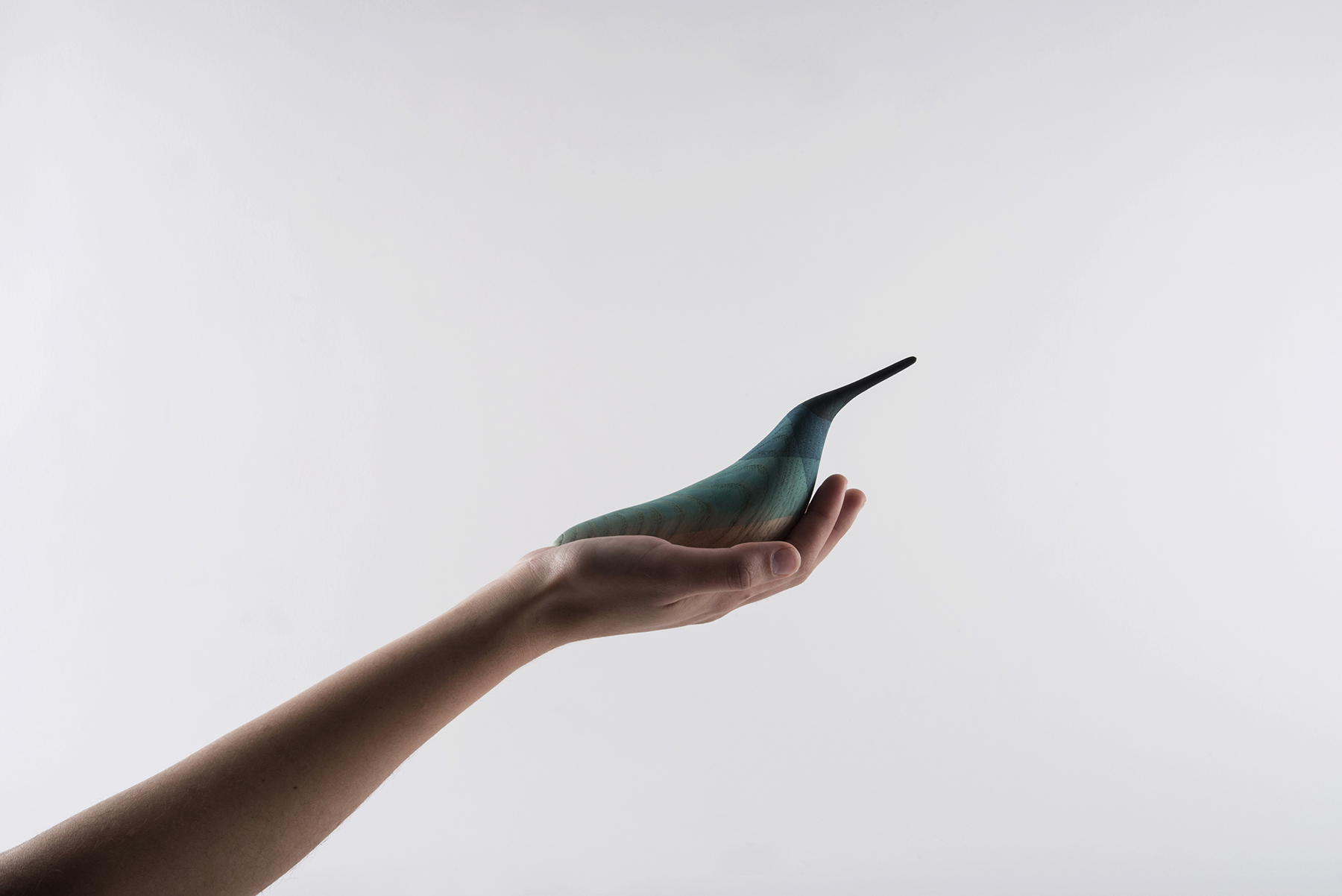 Immersed Birds