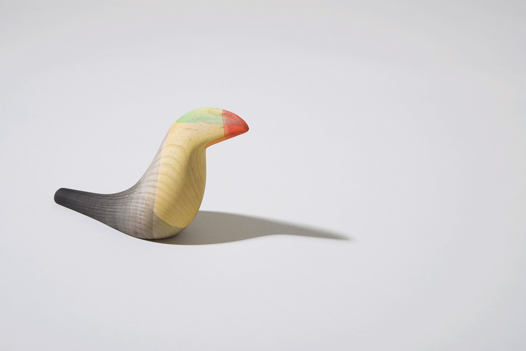 Immersed Birds
