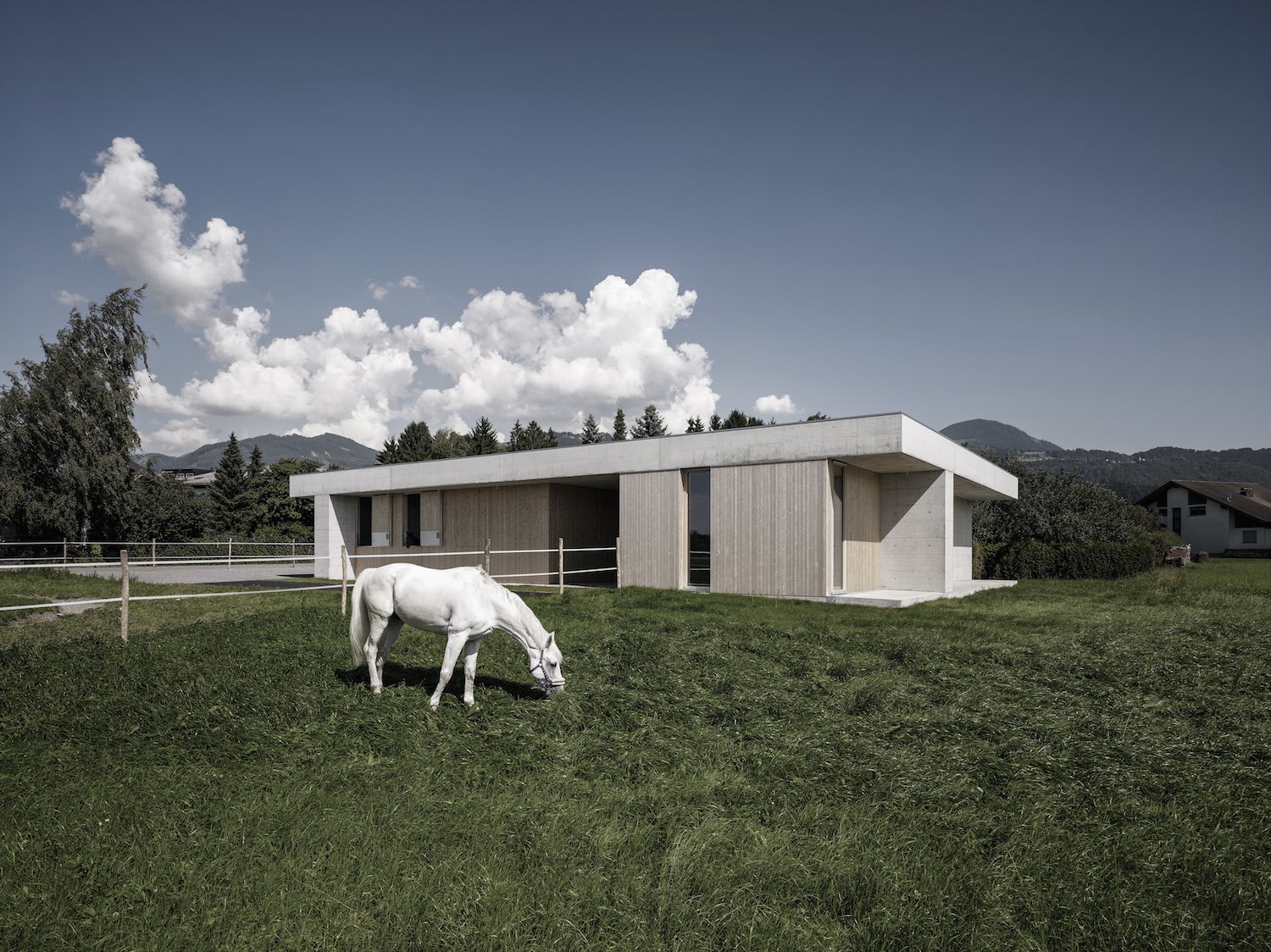 Architecture_GrissEquineVeterinaryPractice_Marte.MarteArchitects_06