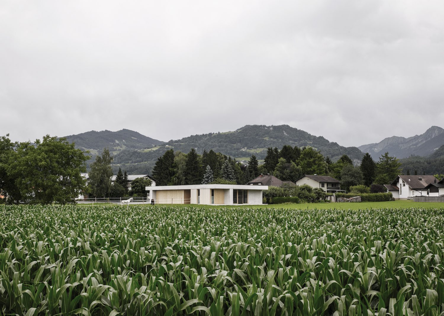Architecture_GrissEquineVeterinaryPractice_Marte.MarteArchitects_11
