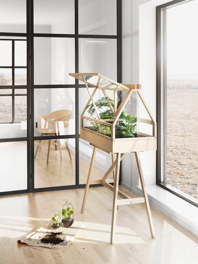 Miniature Greenhouse