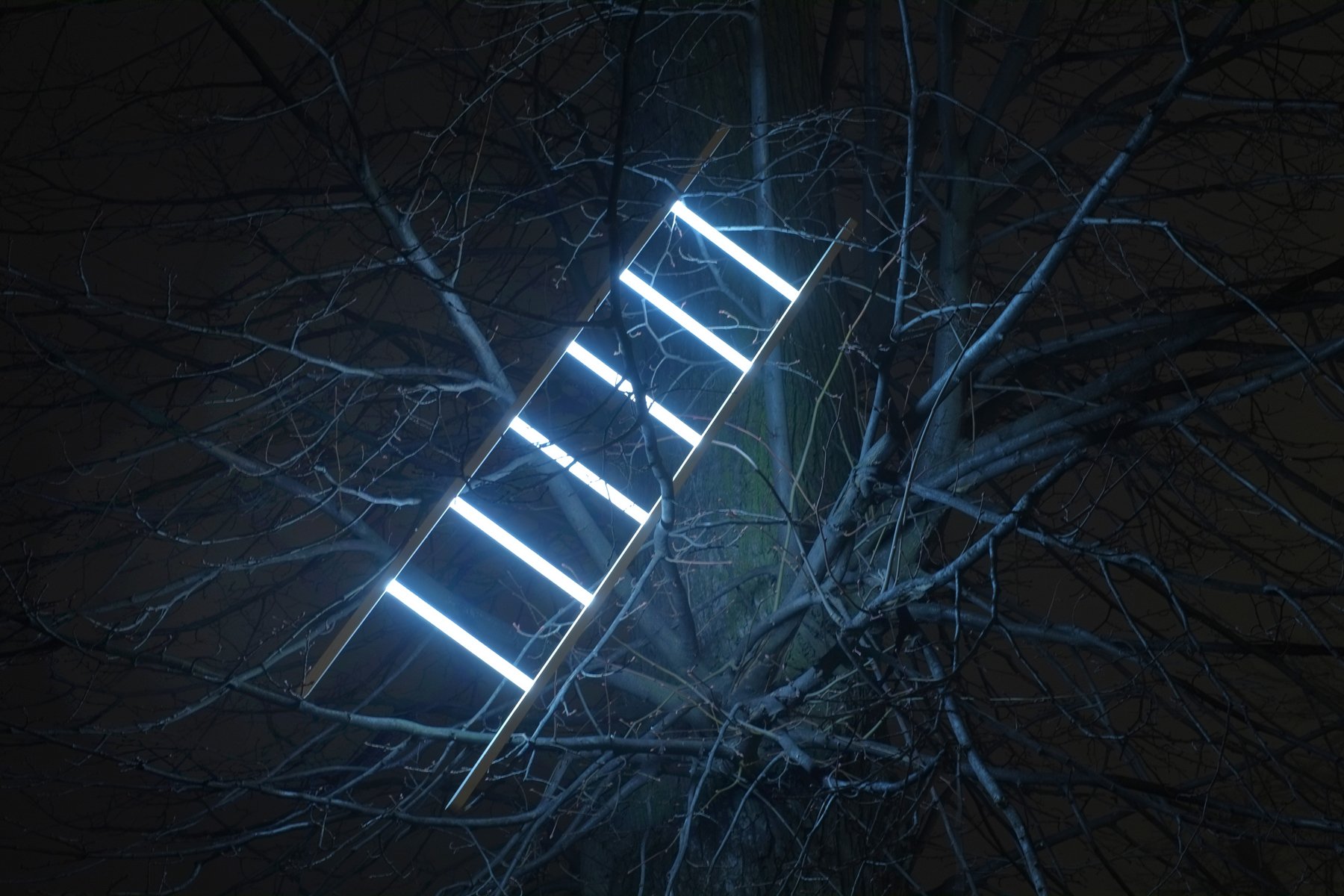 The Ladder By Max Bataev